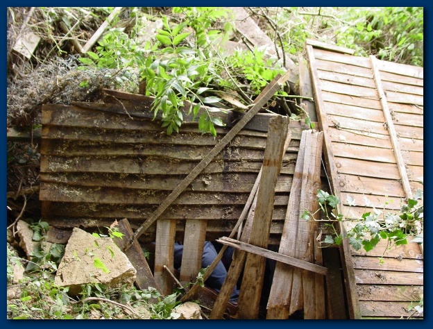 600x449 pixels (187K)